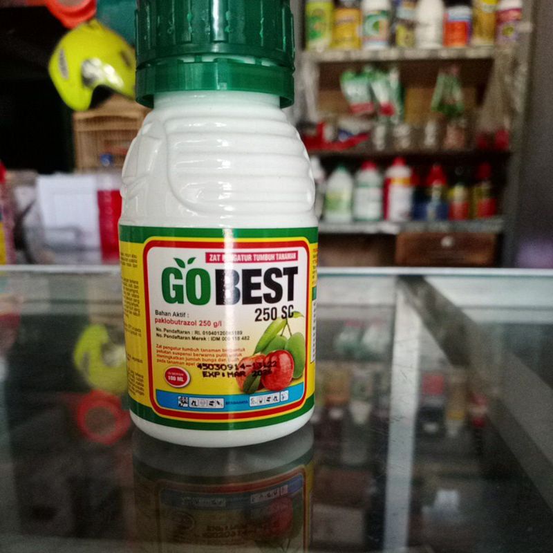 GOBEST 250 SC Perangsang bunga dan buah 100ml