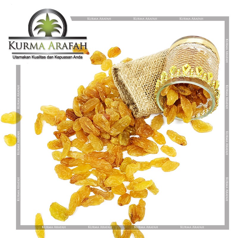 Grosir Kismis Golden Raisin Asem Manis 10 kg