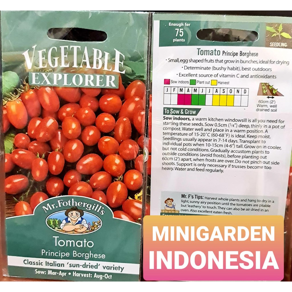 BENIH TOMAT MERAH PRINCIPE BORGHESE PACK 100 BIJI bibit sayur buah tomat cherry import F1 Mr. Fothergills