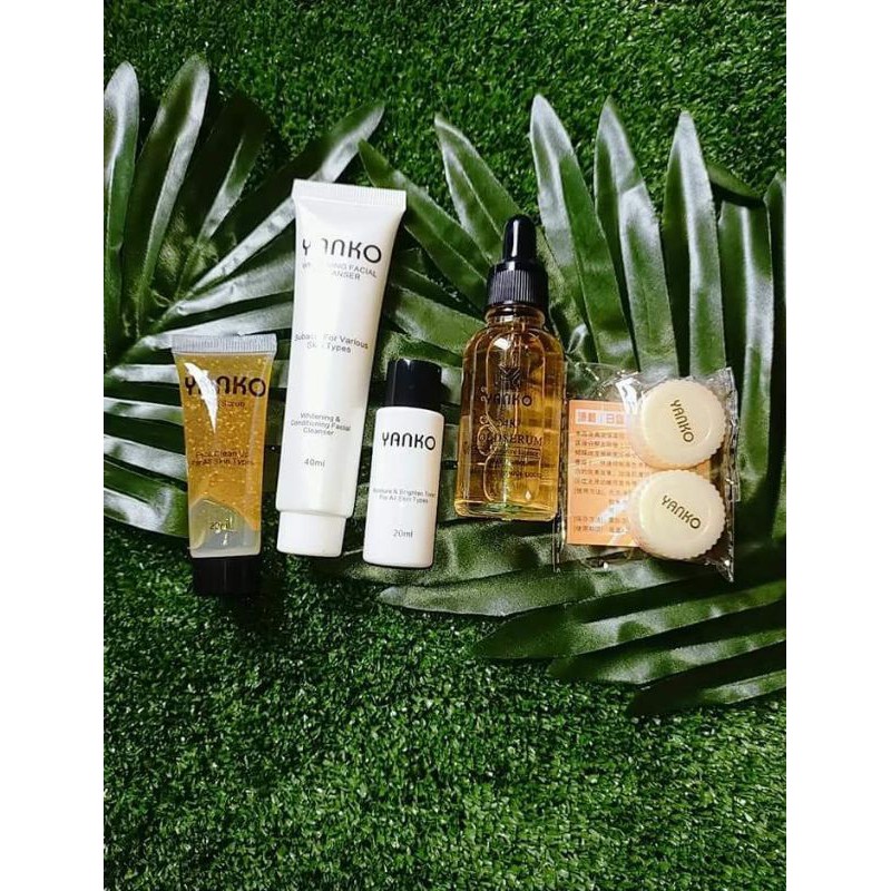 YANKO BASIC 5IN1+ SERUM