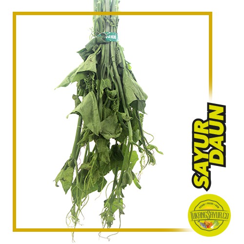 

Daun Labu / ikat
