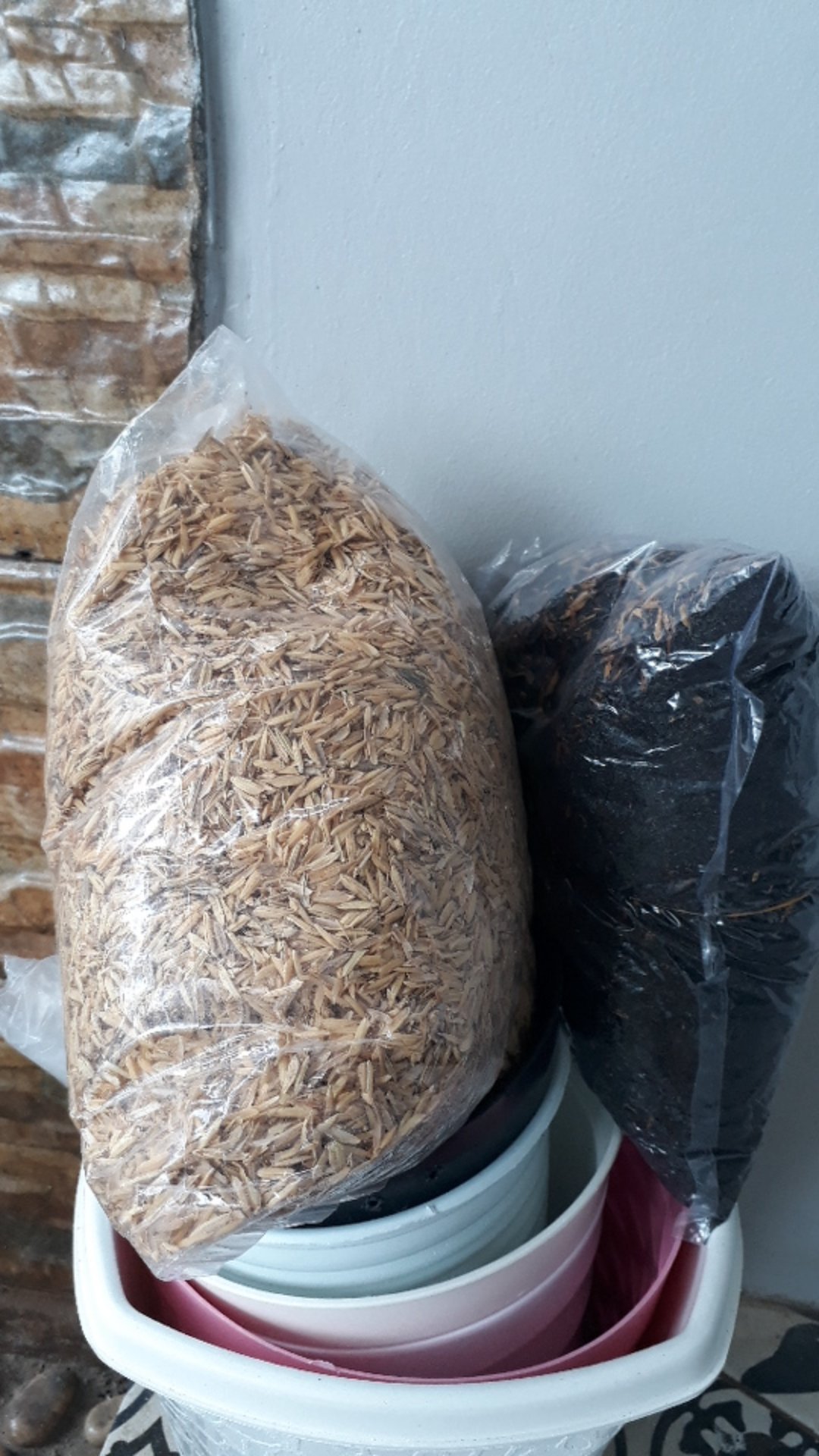 Sekam Padi Murni & Sekam Bakar (repack 500 Gr) | Campuran Media Tanam Kaktus/sekulen/bonsai