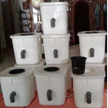 Ember Dutch Bucket Hidroponik, Ember DBS, Dutch Bucket System