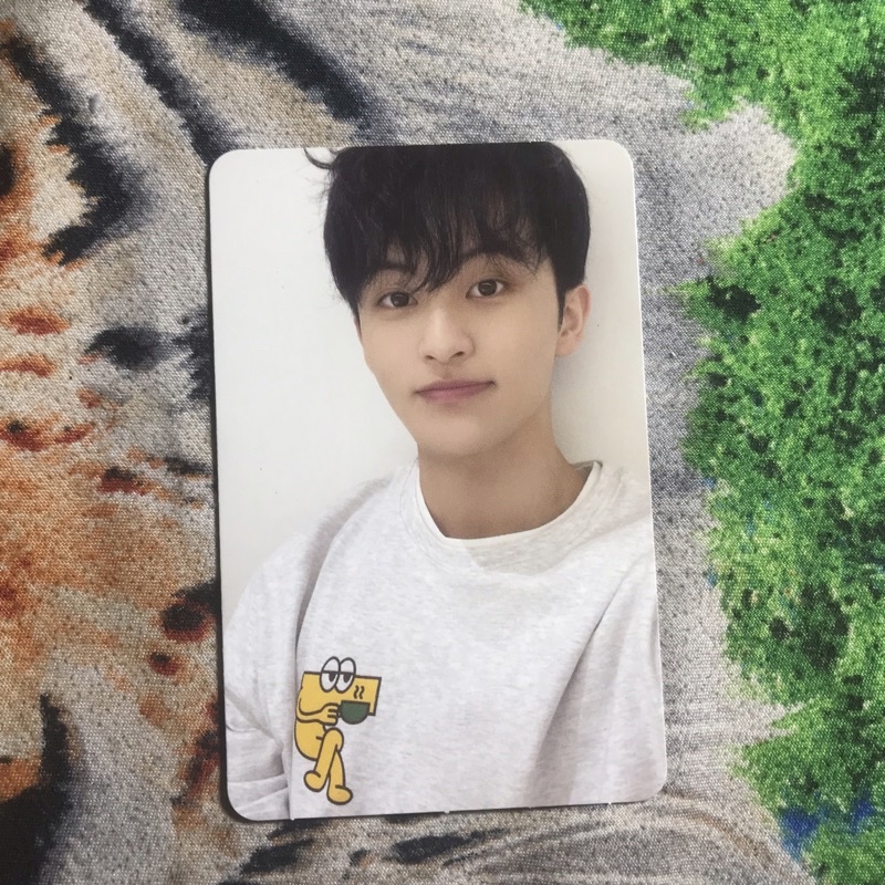 pc cafe dream mark