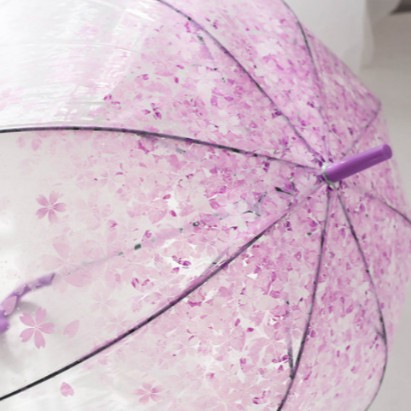 Transparent Umbrella / Payung Plastik Transparan