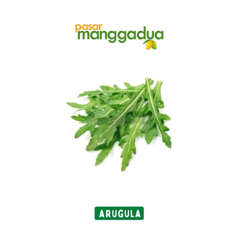 

Daun Arugula Per 500 Gram / Produk Musiman