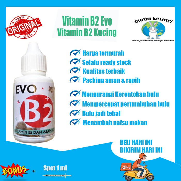 VITAMIN BULU RONTOK KUCING MENAMBAH NAFSU MAKAN B2 EVO