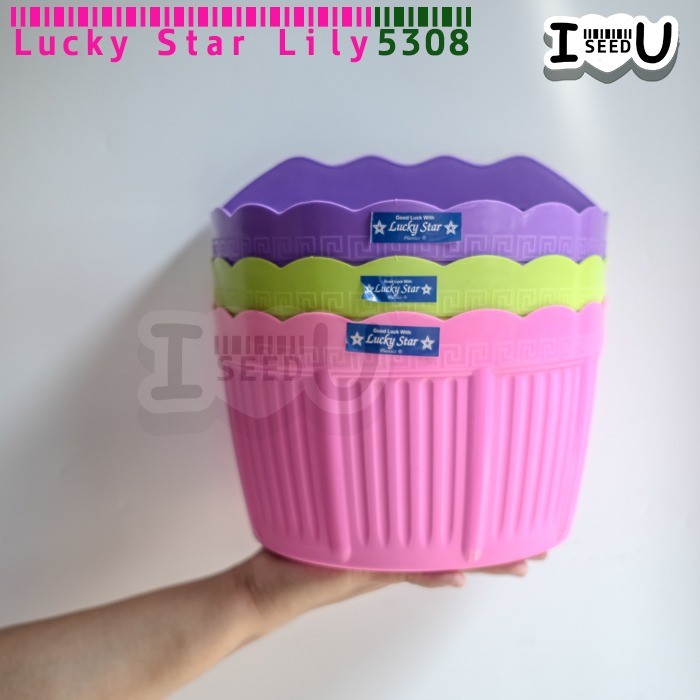 Pot Dinding Warna Lily 5308-DX - Lucky Star