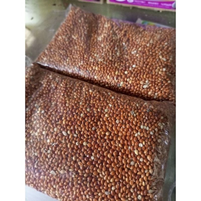 MILET MERAH MURAH 1KG MILET MAKANAN BURUNG