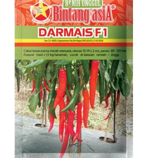 ☀ Benih Cabe DARMAIS F1 berat 10gram (Cabe besar) ⌤