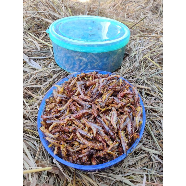 

BELALANG GORENG 180 gr