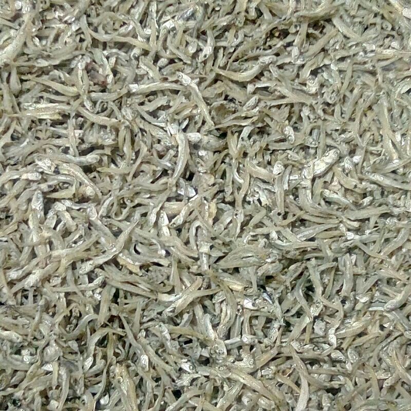

ikan teri enak 1 inch
