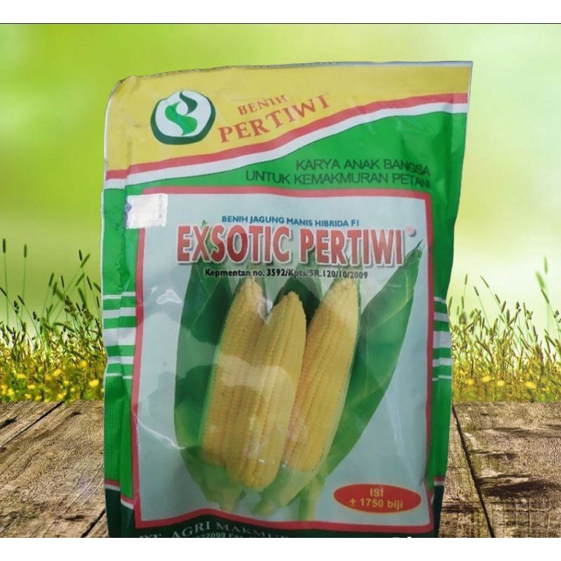 Jagung manis EXOTIC pertiwi (±1750biji) f1