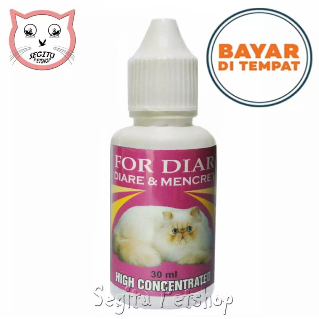 Obat kucing  Diare Mencret anjing dan hewan peliharaan lainnya