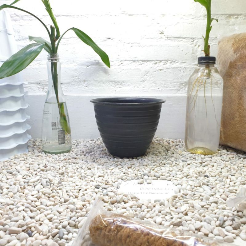 Grosir Pot Madu 20 Hitam Bunga & Tanaman Hias Plastik Hitam Motif Tawon 18