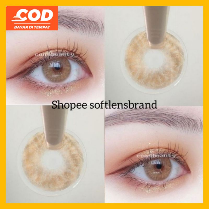 SOFTLENS MINUS SOFTLENS 14 MM BROWN
