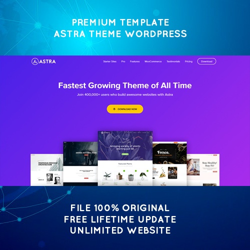 Astra Theme WordPress + Bonus / Premium WordPress Theme