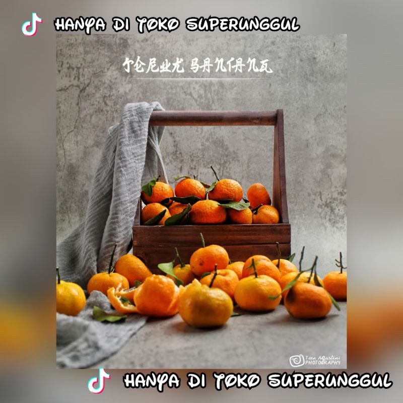 Bibit Jeruk Santang Madu Super