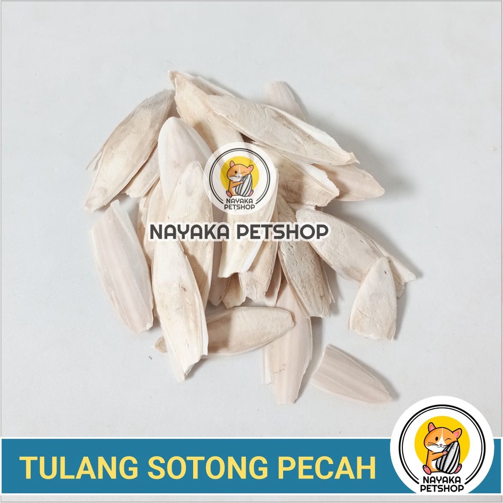 Tulang Sotong Pecah Kalsium Mineral Burung Gigitan Hamster Alami Gnawing Stone Natural Asah Gigi Dental Care