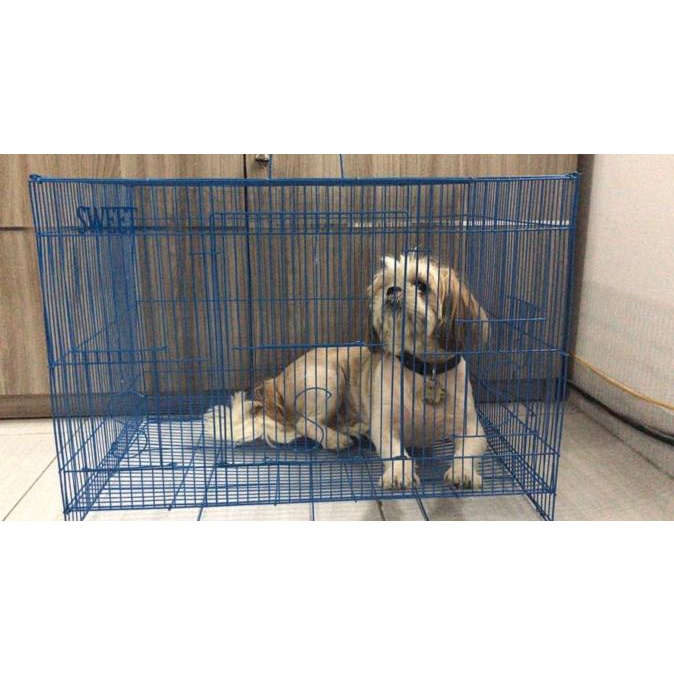 

[[BISA COD]] Kandang Kucing, Anjing, Kelinci, Burung, Ayam, Via Gojek ORIGINAL