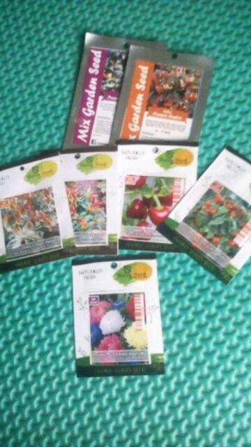 Benih-bibit Cabe Hias Uchu Cream (haira Seed)