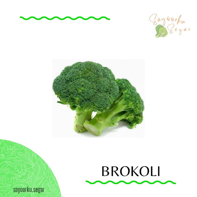 

KIRIM BESOK Brokoli / Brokoli hijau