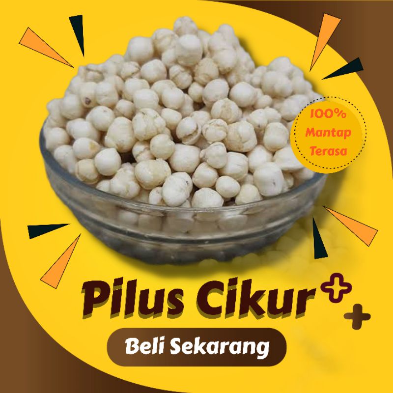 

Pilus Cikur Seblak