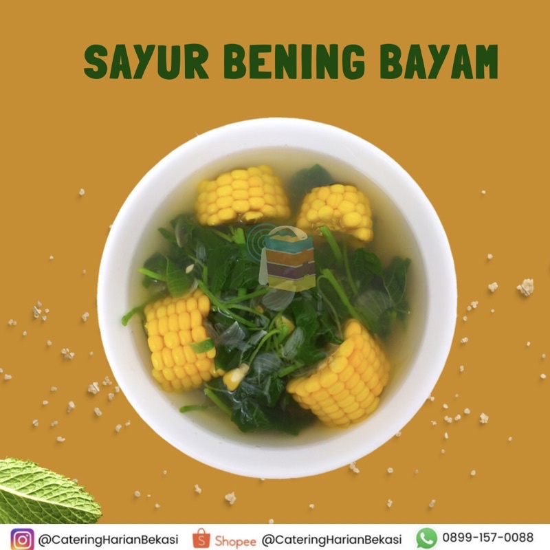 aneka sayur dan tumisan Catering harian Bekasi sayur bening bayam sayur sop sayur lodeh tahu tempe k