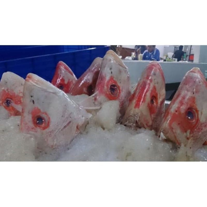 

Kepala ikan kakap merah segar - 1 kepala