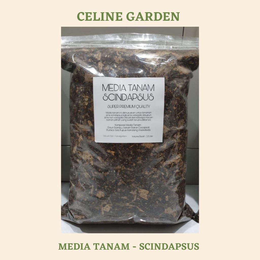 MEDIA TANAM SCINDAPSUS / METAN SCINDAPSUS / SCINDAPSUS / HANDIGOFARM