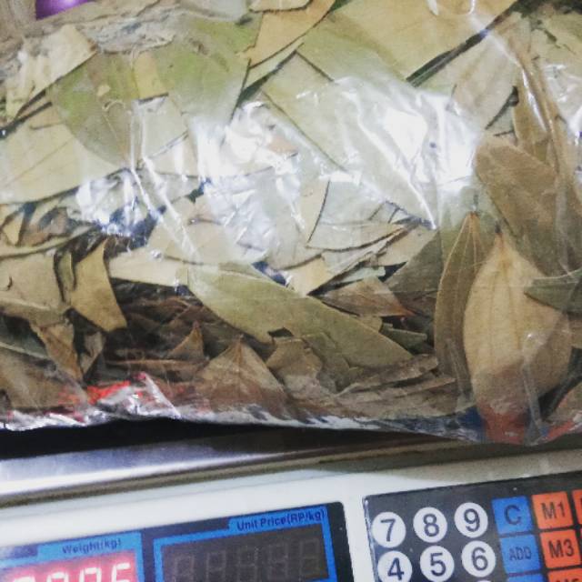 

Bay leaf 1 kg Hijau Besar wangi - daun salam India