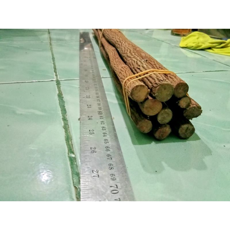 Tangkringan Burung Murai Batu Kayu Asem Jawa Isi 10pcs