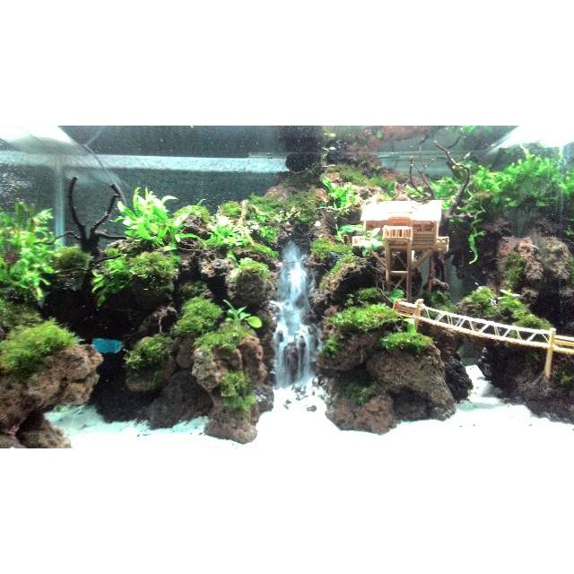 Aquarium aquascape full set uk 80cm