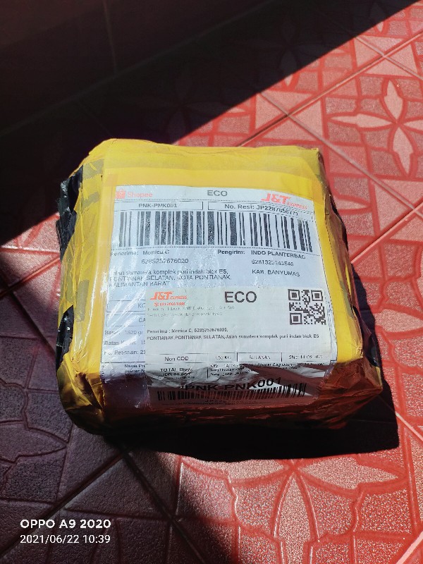 Planter Bag Ukuran 30x30