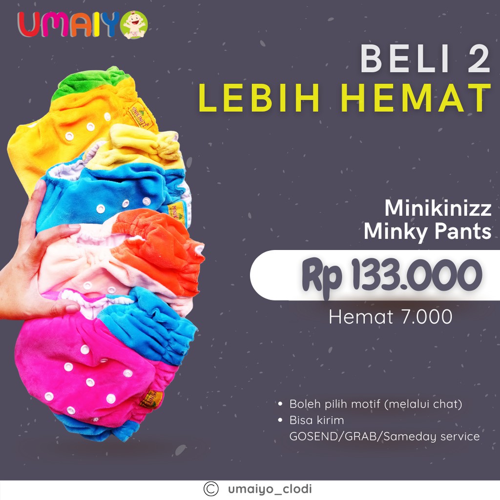 Clodi MINIKINIZZ Minkypants - Clodi All in one insert bisa dikeluarkan