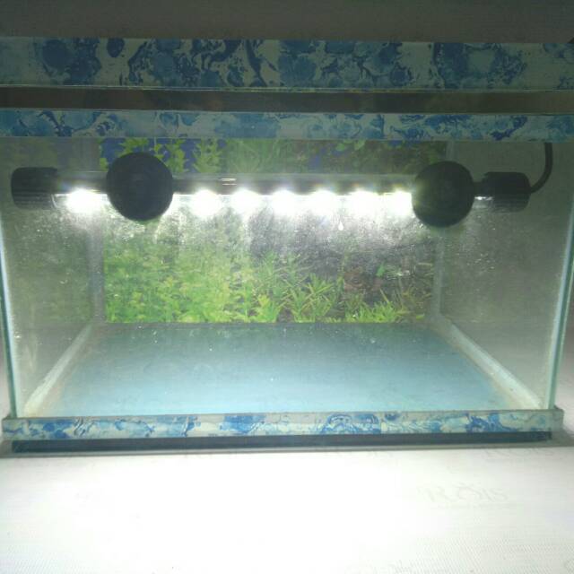 Lampu aquarium celup LED 30cm