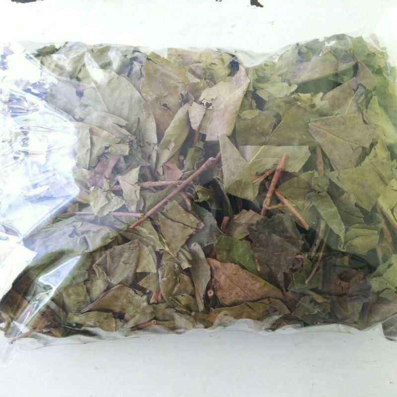 

Daun Salam Kering 1 kg kualitas terjaga