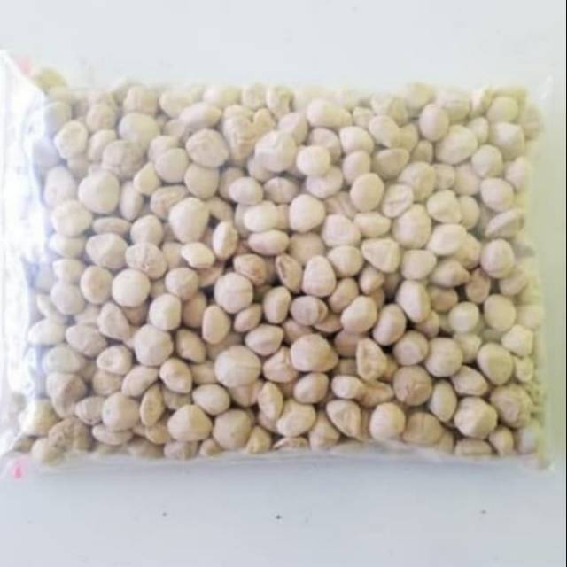 

Biji Kelor Kupas Kernel Biji Kelor Asli Kualitas Bagus