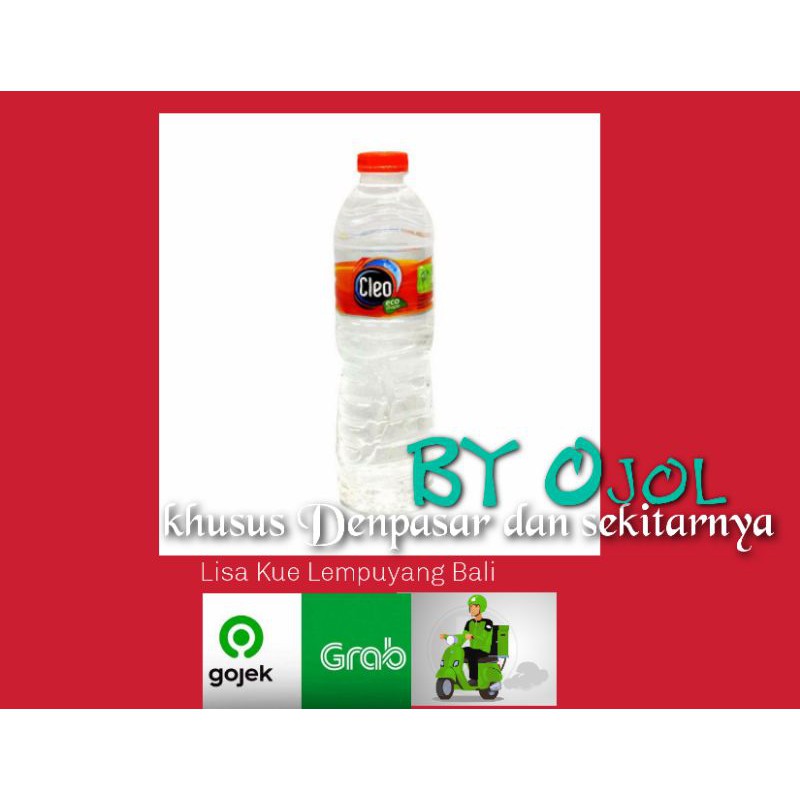 

Air Mineral Pet Cleo 550 ml Lisa kue Lempuyang Bali