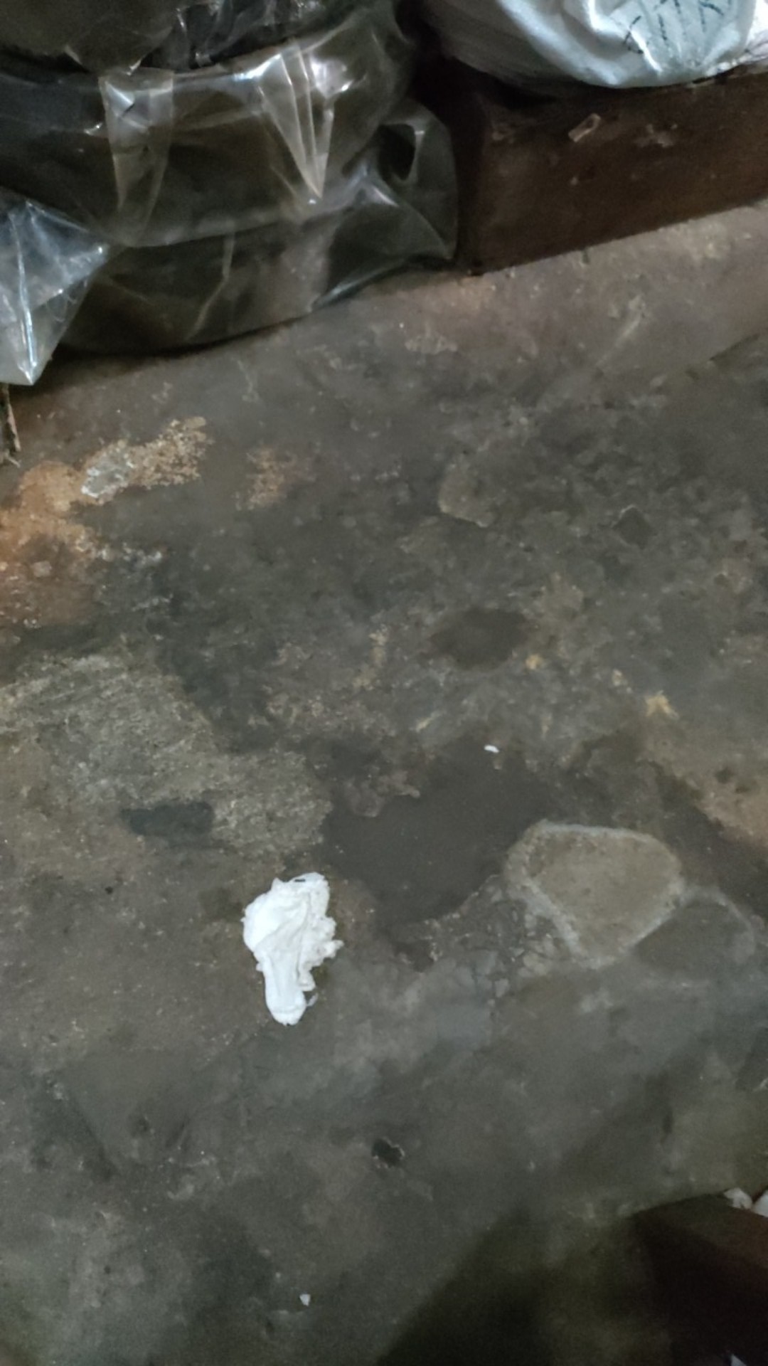 Jam Dinding Model Teko Kopi Unik Untuk Dapur / Resto / Rumah / Cafe - Ns003