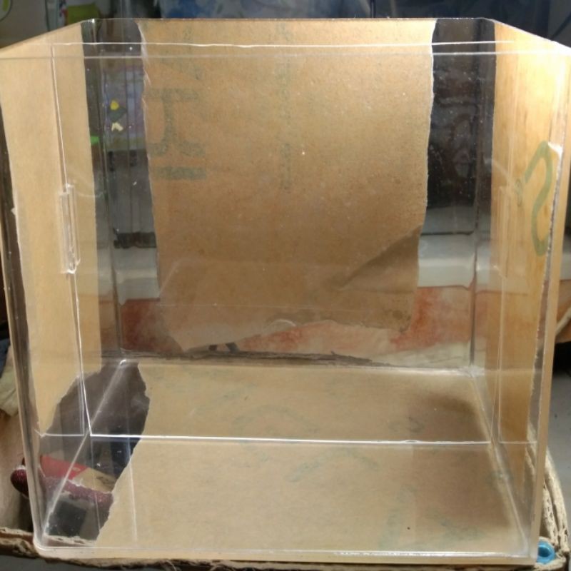 soliter akrilik/soliter cupang/soliter selfi