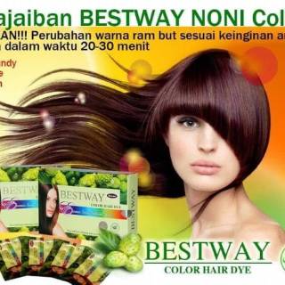 BESTWAY Color Hair Dye Shampoo Pewarna  Rambut  Alami 