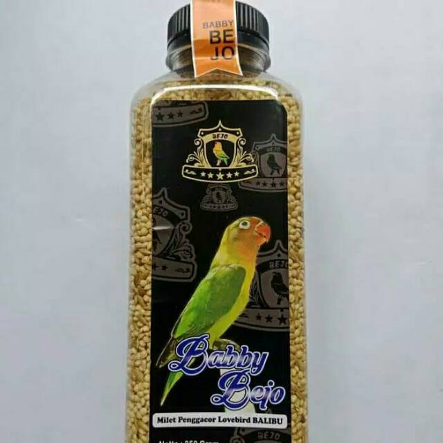 MILET BABY BEJO miled penggacor lovebird balibu by ari bejo