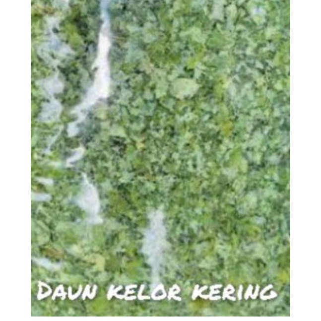 

Daun Kelor Kering