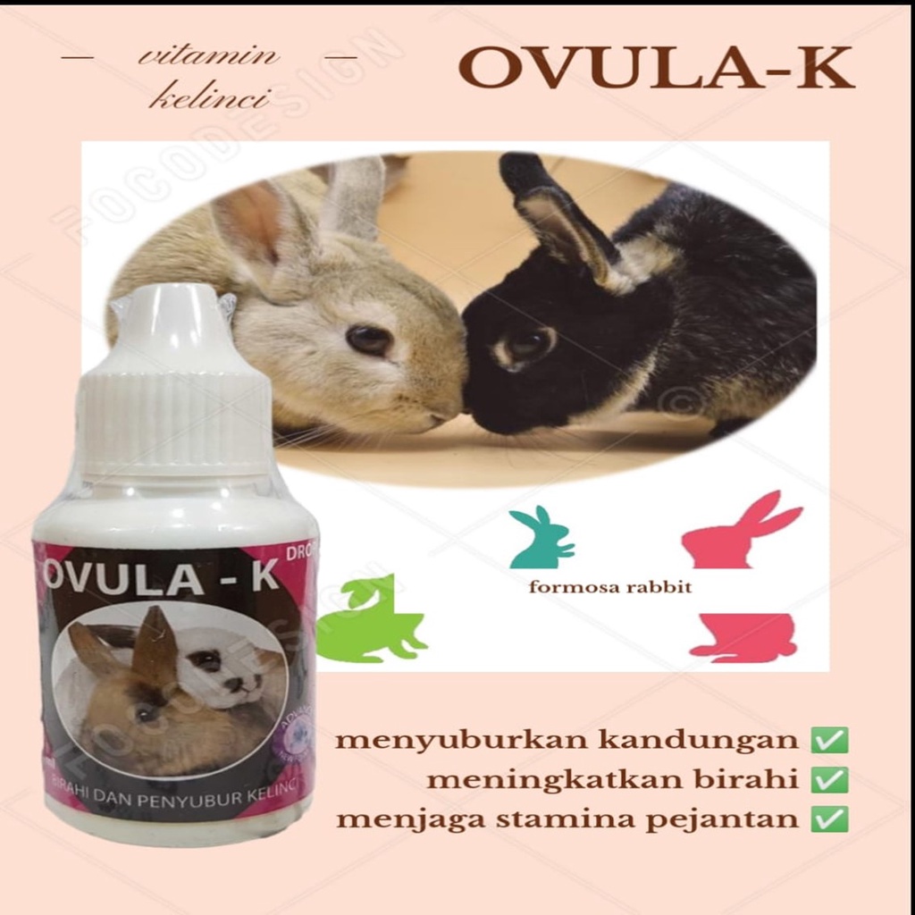 OVULA - K vitamin birahi dan penyubur kelinci 30 ml suplemen penambah nafsu birahi kelinci jantan da