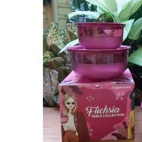 Fuschia table collection