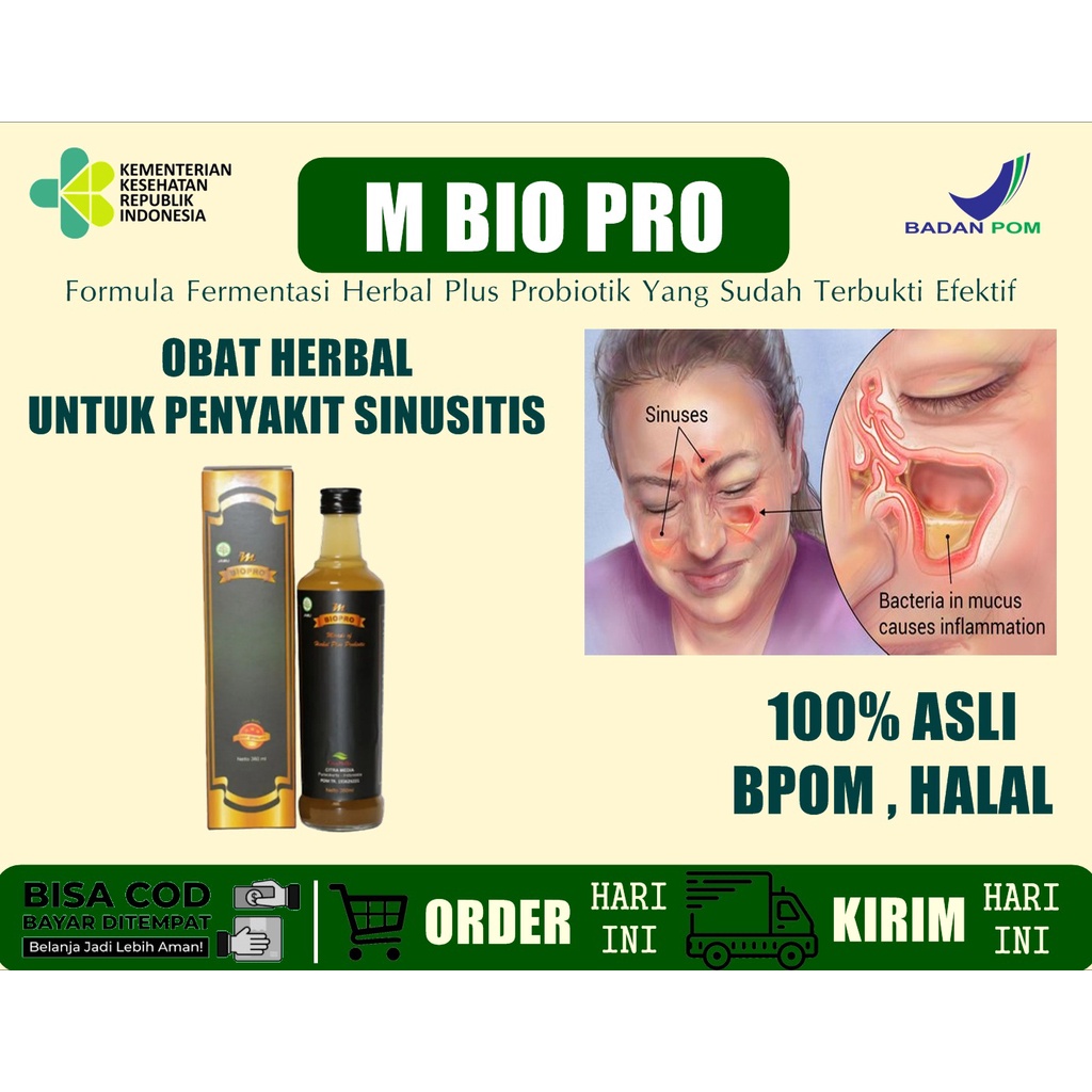 Obat Ginjal Herbal Original M BIOPRO Obat Pemghancur Batu Empedu Kencing Batu Ginjal Paling Ampuh