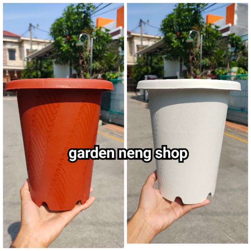 JM RUBY ASTOR BATIK 15 pot bunga bulat tinggi mirip yogap 15 bagus murah