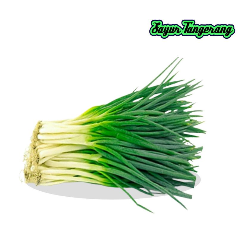 

Sayur Tangerang Sayuran Segar Daun Bawang 1000 gr