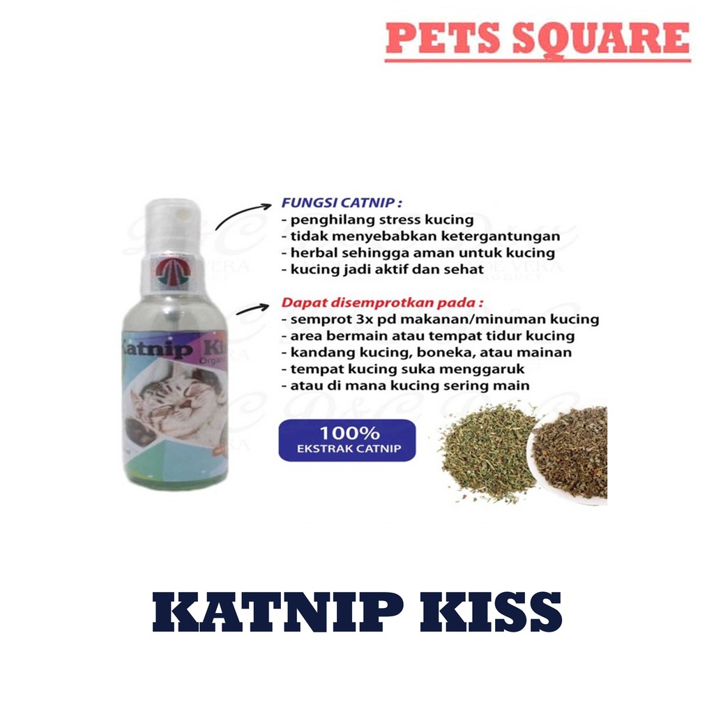 Catnip Spray - Herbal Organik Aman Penghilang Stres Kucing